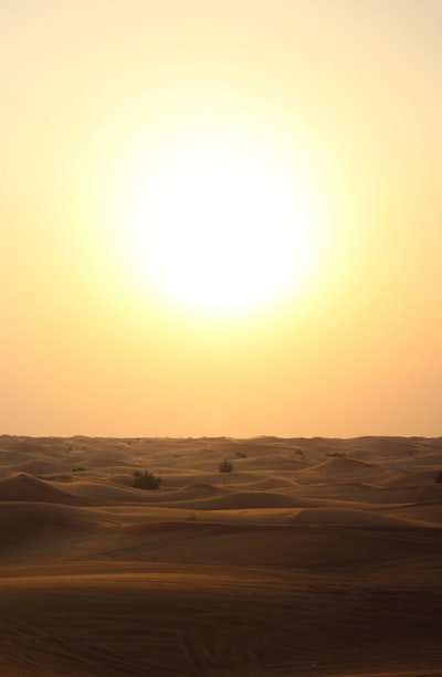 米色的沙子在日落
